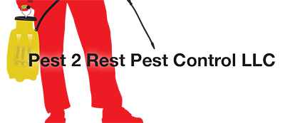 Pest 2 Rest